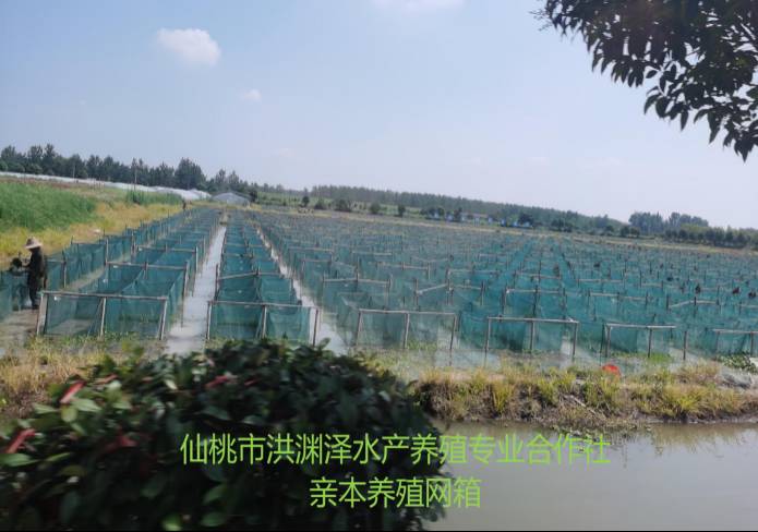 k8凯发(中国)天生赢家·一触即发