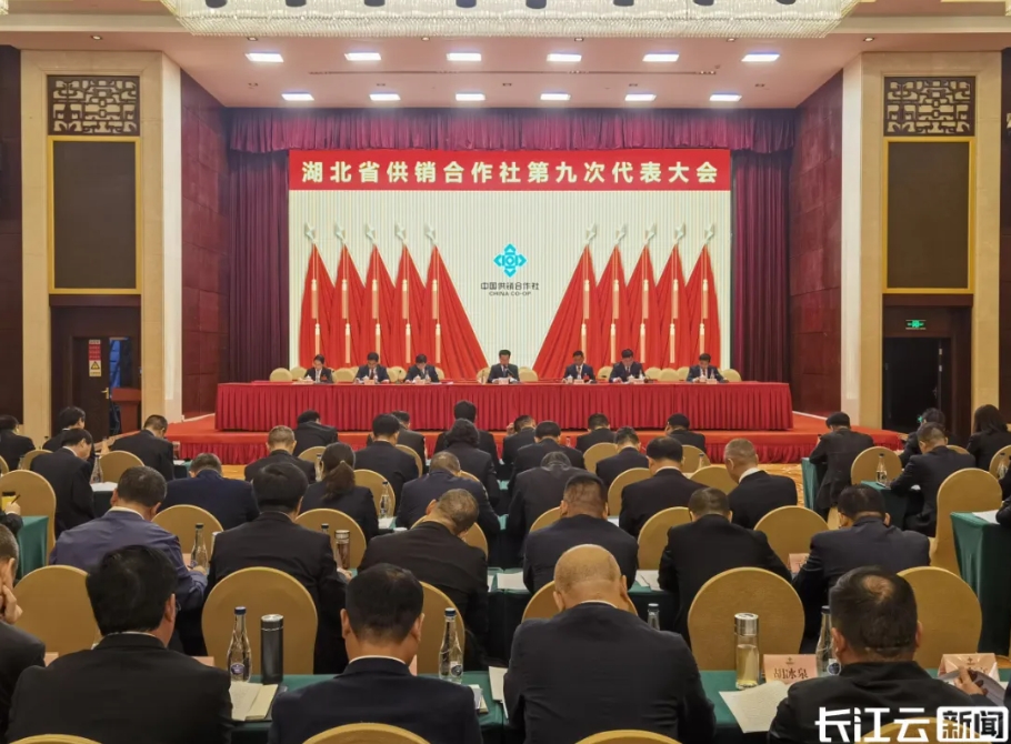 k8凯发(中国)天生赢家·一触即发